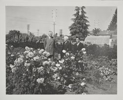 Luther Burbank with Nabumi Hasegawa