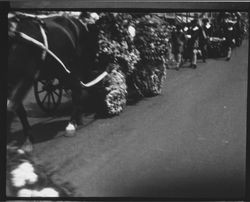 Horse drawn float in the Rose Parade