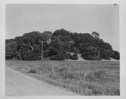 Views of the Indian mound at Olompali, California, about 1960