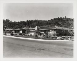 Homes on Monte Verde Drive, Santa Rosa, California, 1962