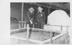 Dave Craig and a park ranger examining a newly built box at the Old Adobe, Petaluma, California, 1973