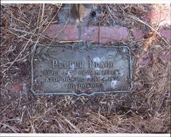 Marker for the William Pepper House at 28 Pepper Lane, Petaluma, California, Sept. 22, 2006