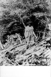 Louis Sonoma Beedle working with tan bark on Beedle Ranch