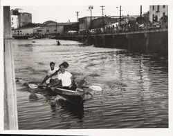 Kayak races on the Petaluma River, Petaluma, California, 1964