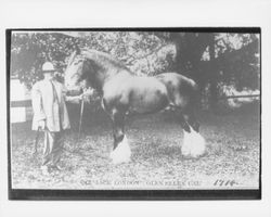 Jack London, Glen Ellen, California