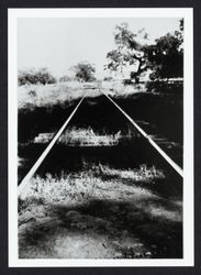 Unidentified segment of Northwest Pacific Railroad's Sonoma Valley Branch tracks in the Sonoma Valley or Valley of the Moon, California, 1950s