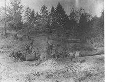 Logging at Duncan's Mill Land and Lumber Company