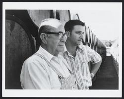 August and Sam Sebastiani stand amidst 1,000 white oak, 50 gallon barrels in which fines sherries age under the sun