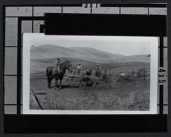 Working at hay presses