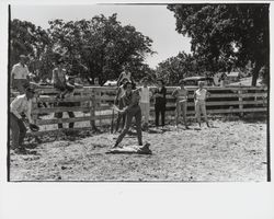 G.K. Hardt employee picnic, Santa Rosa, California, 1958