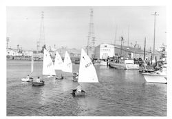 Old Adobe Fiesta sailboat racing, Petaluma, California, 1965-1969