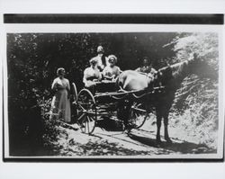 Family with their horse and buggy on a country road