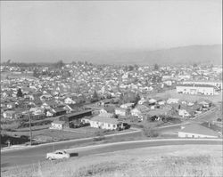 Panoramic view of Petaluma looking northeasterly from a hill above Petaluma High School, Petaluma, California, about 1942