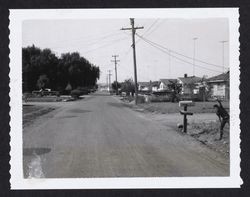 Looking north from 1252 Clover Drive