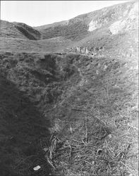 Remains of Roblar Gold Mine and surrounding area., Petaluma, California, 1967