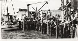 Fishing off the pier at Bodega Bay