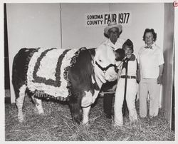 Deborah King and her 4H Reserve Grand Champion Hereford Market steer at the Sonoma County Fair, Santa Rosa, California, about 1965