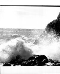 Ocean waves along the Sonoma County coast at Goat Rock, November 12, 1971