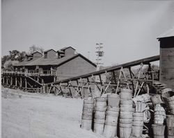 King Ranch hop kilns near Healdsburg, California, September 1952