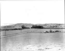 Manor Lane and the Petaluma Adobe looking southwesterly, Petaluma, California, about 1960