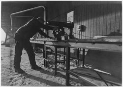 Unidentified man operating a radial arm saw at Speedspace, 920 Shiloh Road, Windsor, California, 1960s or 1970s