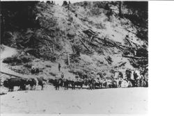 Logging near Smith Creek