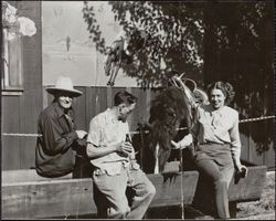 Redwood Rangers and Jack Hetzel at the horse trough, Guerneville, California