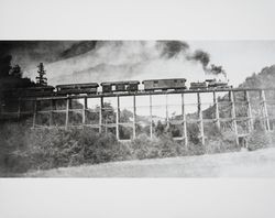 North Shore Railway train crossing over Simoni's Canyon, Camp Meeker, California, 1905