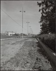 Sonoma-Marin Fairgrounds, Petaluma, California, 1959