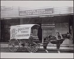 Horse and covered wagon in front of the Santa Rosa Poultry Association building, 313-315 A Street, Santa Rosa, California, about 1910