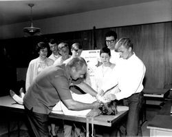 Unidentified Red Cross instructor teaching artificial respiration, Santa Rosa, California, September 27, 1967
