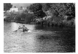 Rowboat races on the Petaluma River, Petaluma, California, about 1965