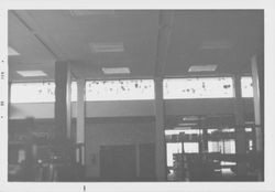 View of the stain glass windows in the library, Santa Rosa