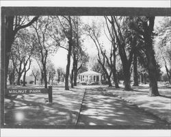 Walnut Park, Petaluma, California, Petaluma, California, 1973