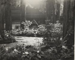 Redwood Wonderland display at the Hall of Flowers at the Sonoma County Fair, Santa Rosa, California, 1960