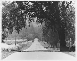 Unidentified Sonoma County road, 1960s or 1970s