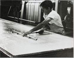 Unidentified man cuts curd into small bits that will eventually be made into cheese at the Petaluma Cooperative Creamery, about 1955