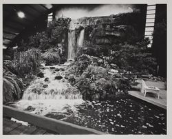 Waterfall and cascade at the Hall of Flowers at the Sonoma County Fair, Santa Rosa, California, about 1970