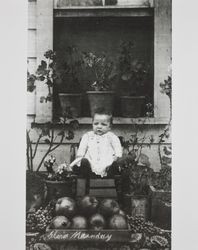 Infant Marion S. Barnes, Sebastopol, California about 1892