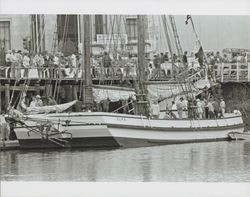 Sailing Scow "Alma" at the Old Adobe and Petaluma River Festival of 1986