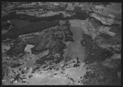 Aerial view of Lake Ralphine and creek