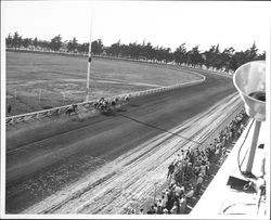 Horse race at the Fairgrounds