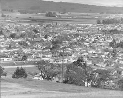 Panoramic view of Petaluma, California,ca. 1942, looking southeasterly from a hill above Petaluma High School