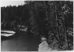 Unidentified view of the Austin Creek below Cazadero, about 1969