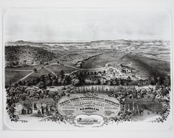 Buena Vista Vinicultural Society's Vineyards and Vaults, Sonoma County, B. E. Auger & Co., San Francisco, Sole Agents, 1870's