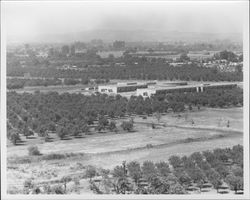 County Administration Center under construction, Santa Rosa, California, 1958