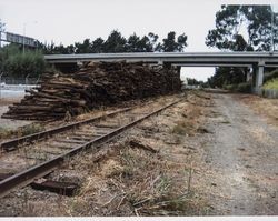 Stacks of old ties along Northwestern Pacific tracks south of State Route 12 overcrossing, June 23, 2010