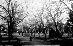 Walnut Park, Petaluma, Cal