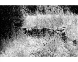 Remains of a basalt tailings foundation originally part of a barn located at 1480 Los Olivos Road, Santa Rosa, California, 1987