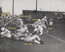 Defensive scrimmage during Petaluma Leghorn game against Hamilton Field Jets